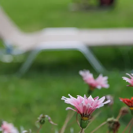 Vila Haris Gazátika